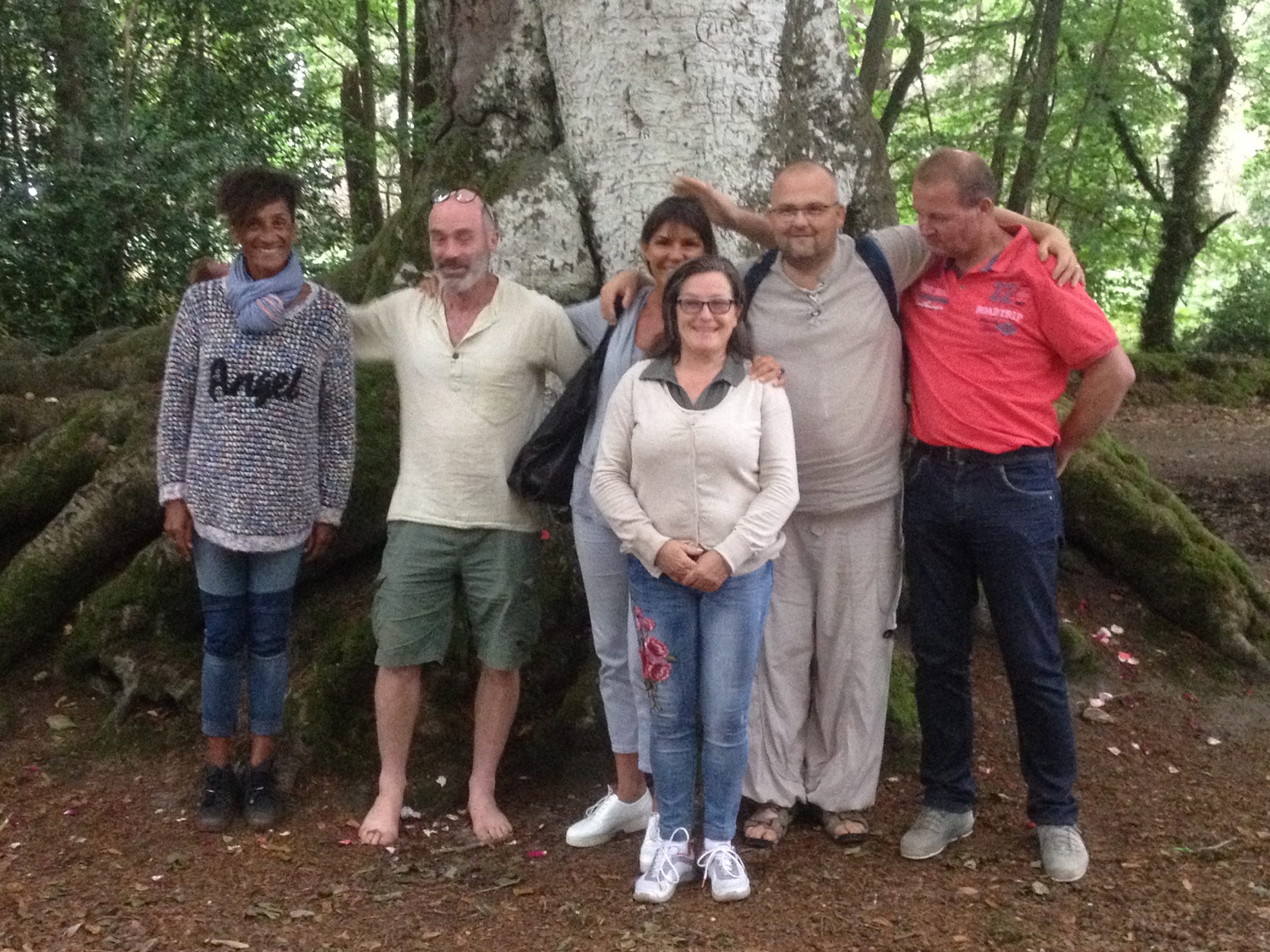 Apprenants en forêt lors de la formation Magnétisme